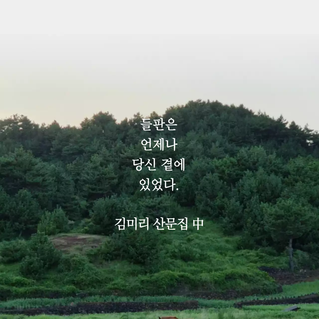 초록 자연 환경 문학 동호회