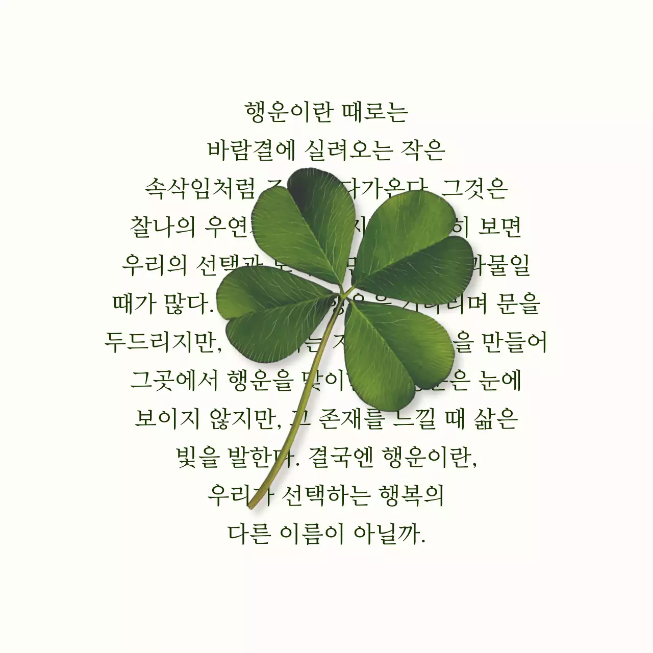 아이보리 심플 행복 글귀