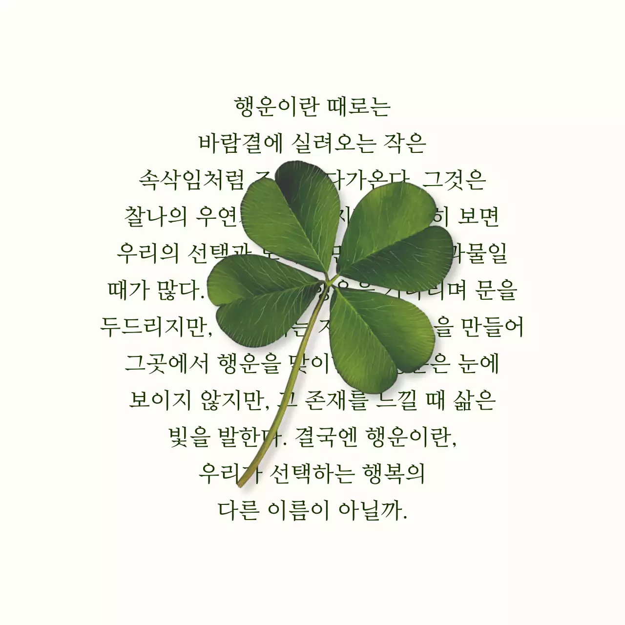 아이보리 심플 행복 글귀