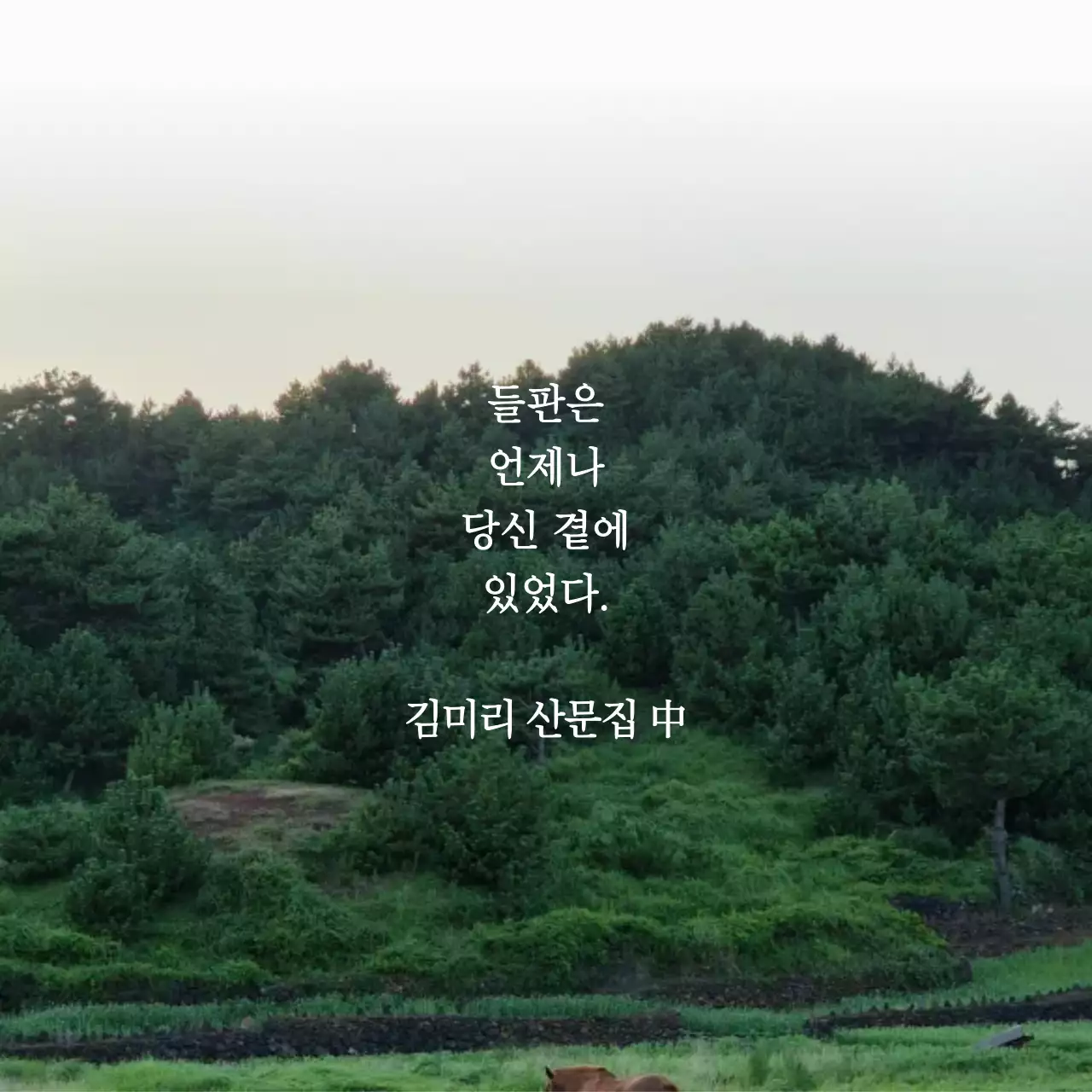 초록 자연 환경 문학 동호회