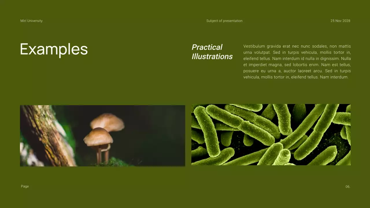 Green Minimal Academic Introduction Presentation