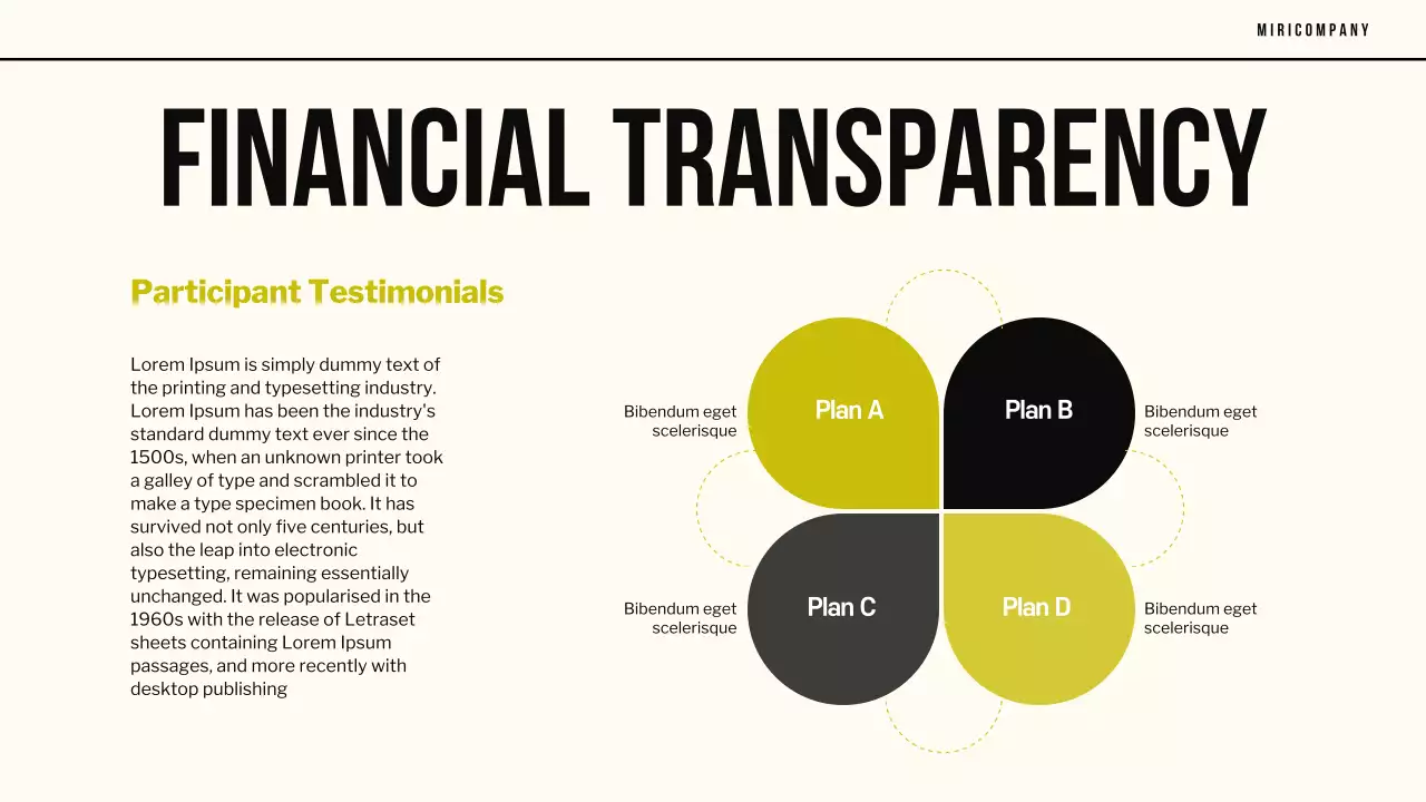 Bài trình bày báo cáo phi lợi nhuận chuyên nghiệp của người da đen