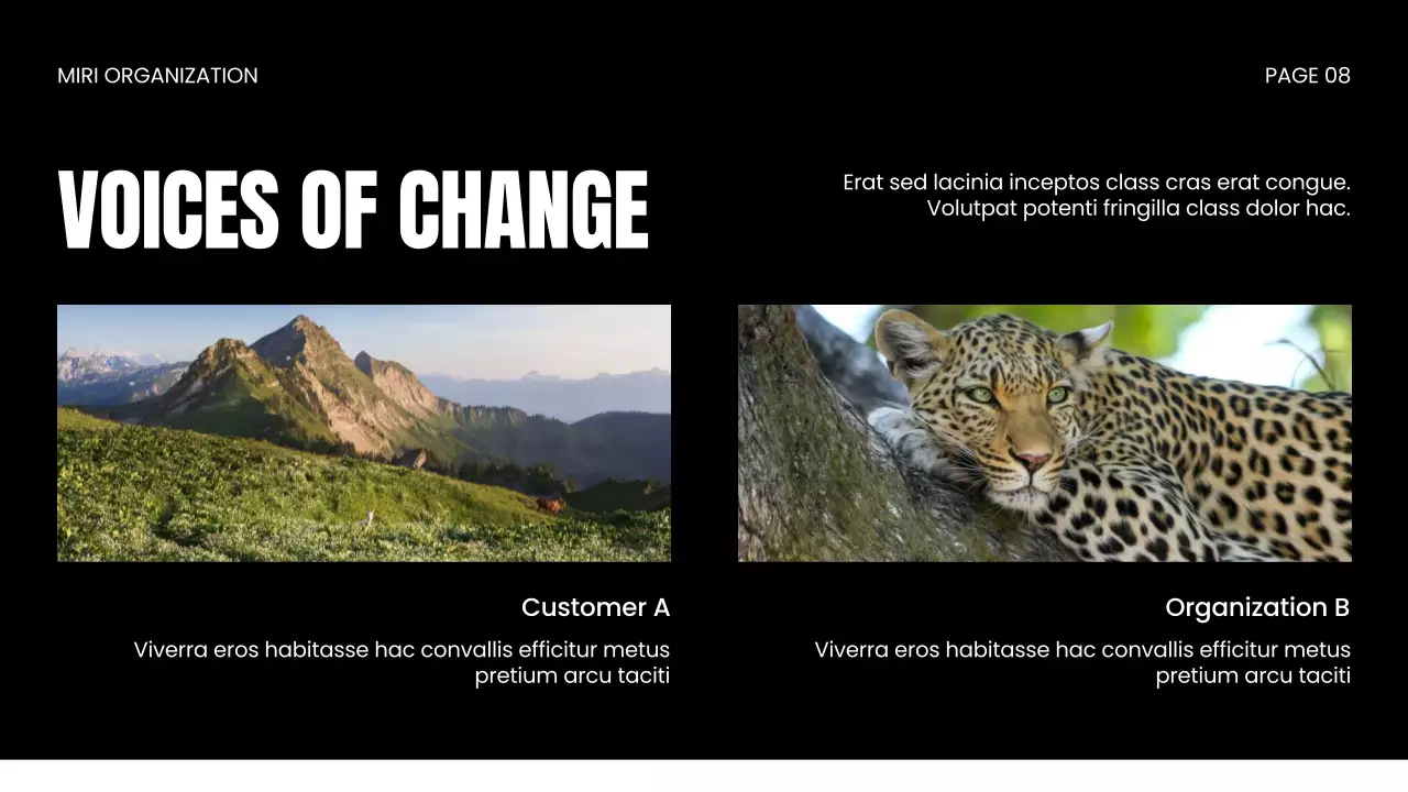 Apresentação da Vida Selvagem Moderna Negra