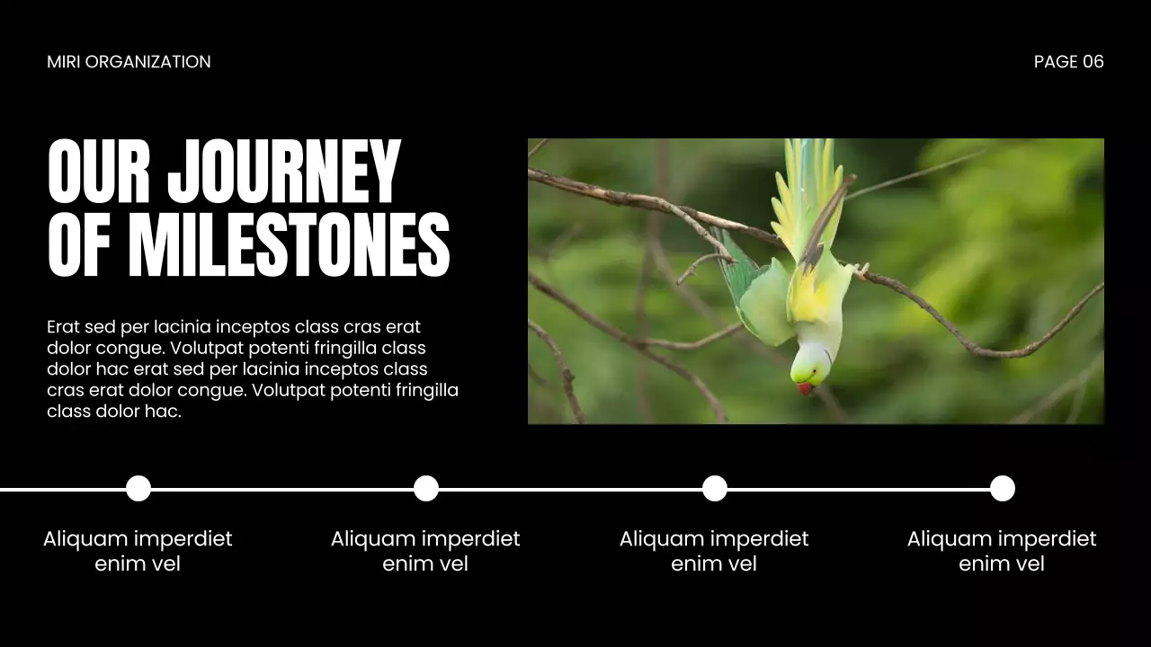 Apresentação da Vida Selvagem Moderna Negra