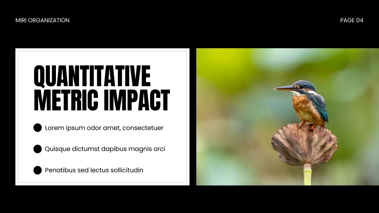 Apresentação da Vida Selvagem Moderna Negra