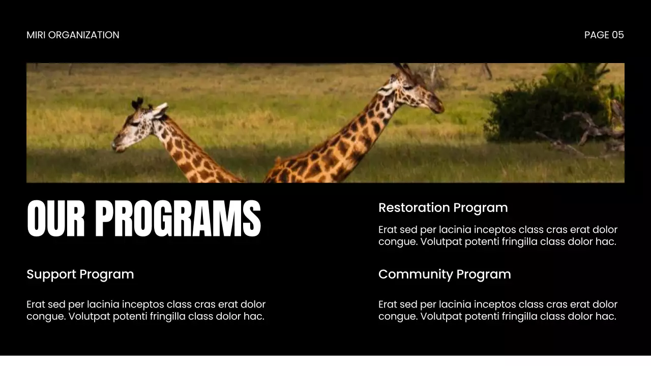 Apresentação da Vida Selvagem Moderna Negra