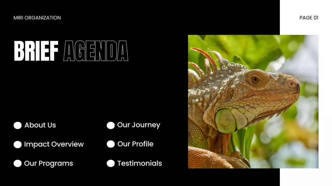 Apresentação da Vida Selvagem Moderna Negra