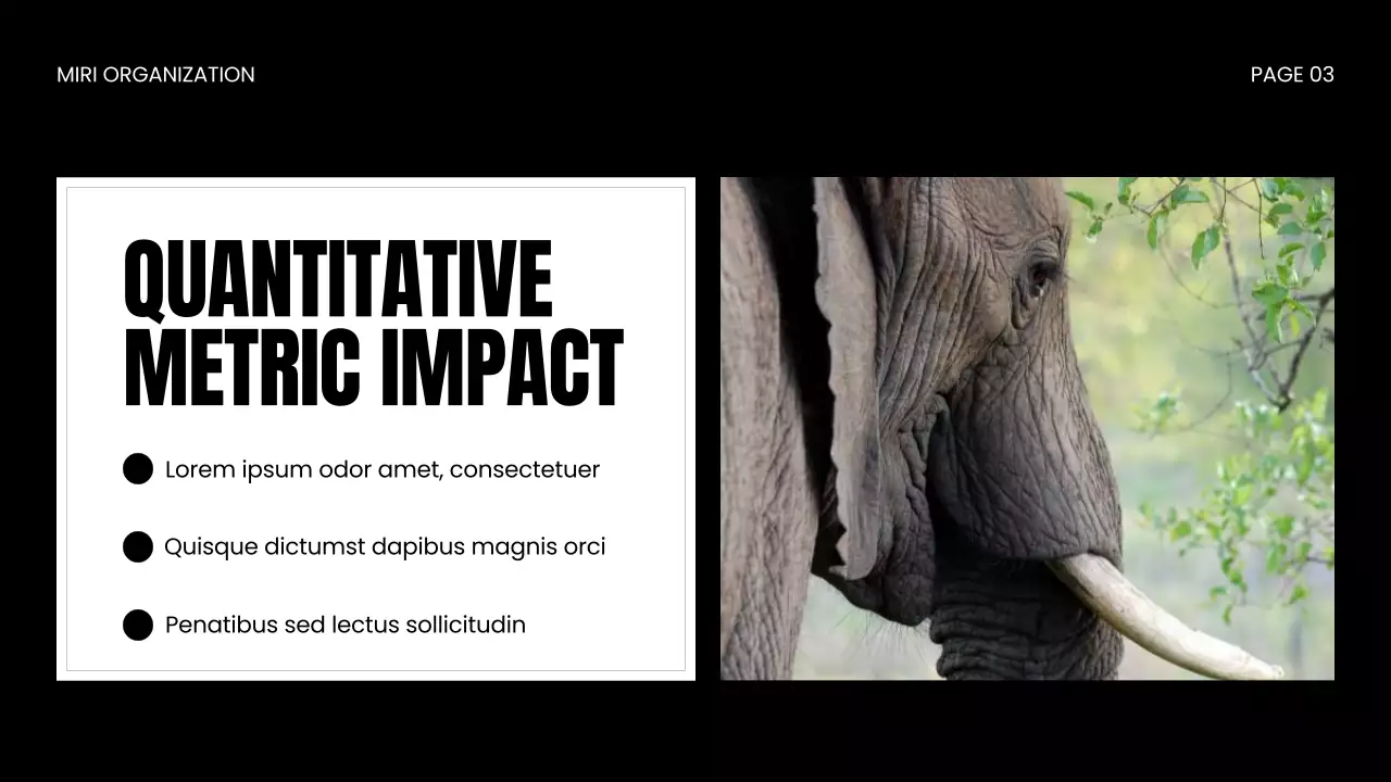 Apresentação da Vida Selvagem Moderna Negra