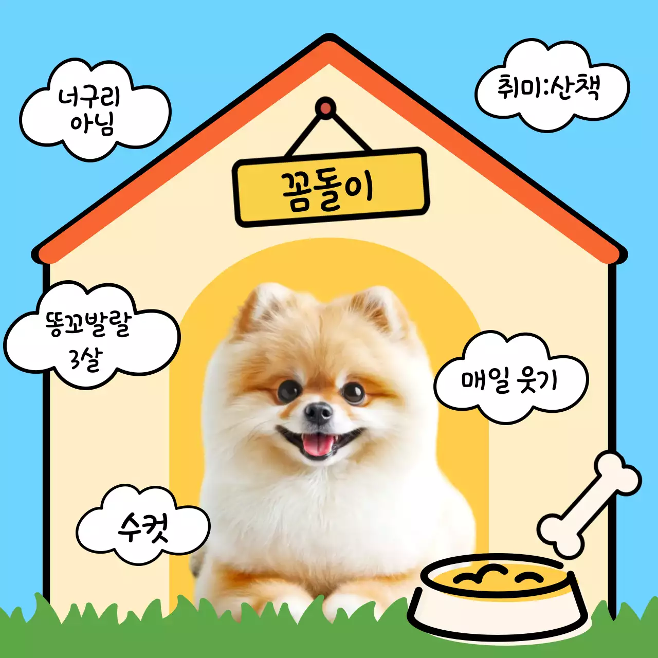 강아지 포토카드