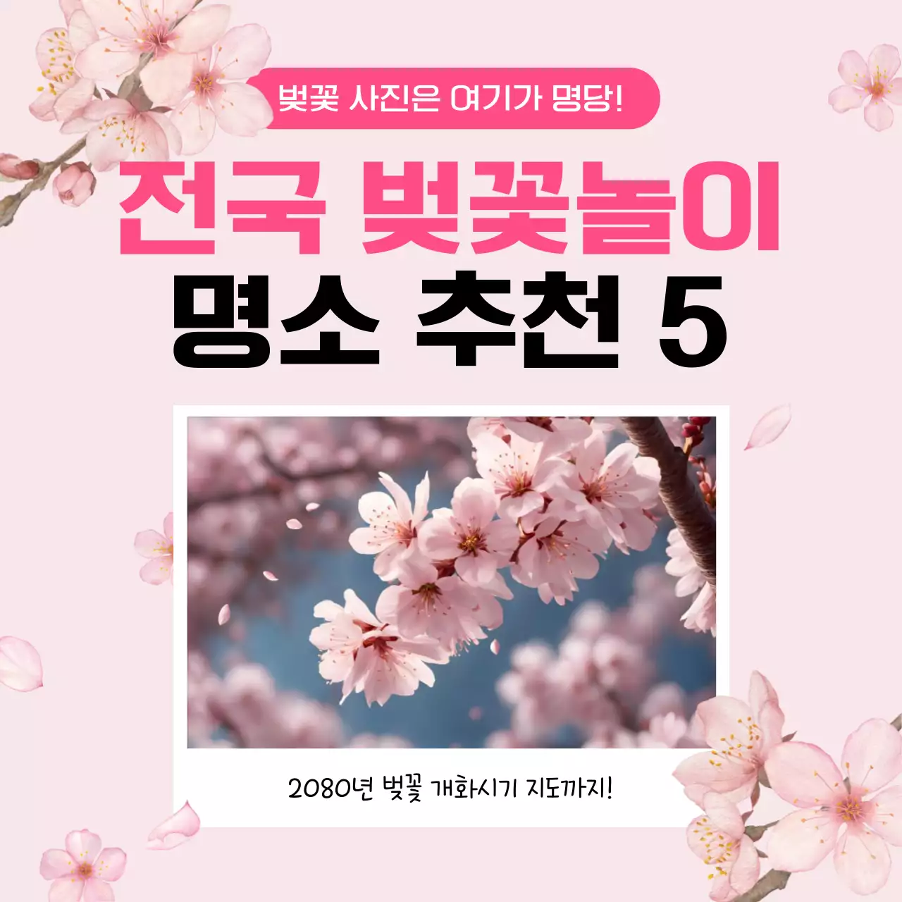 핑크 아기자기한 벚꽃놀이 안내