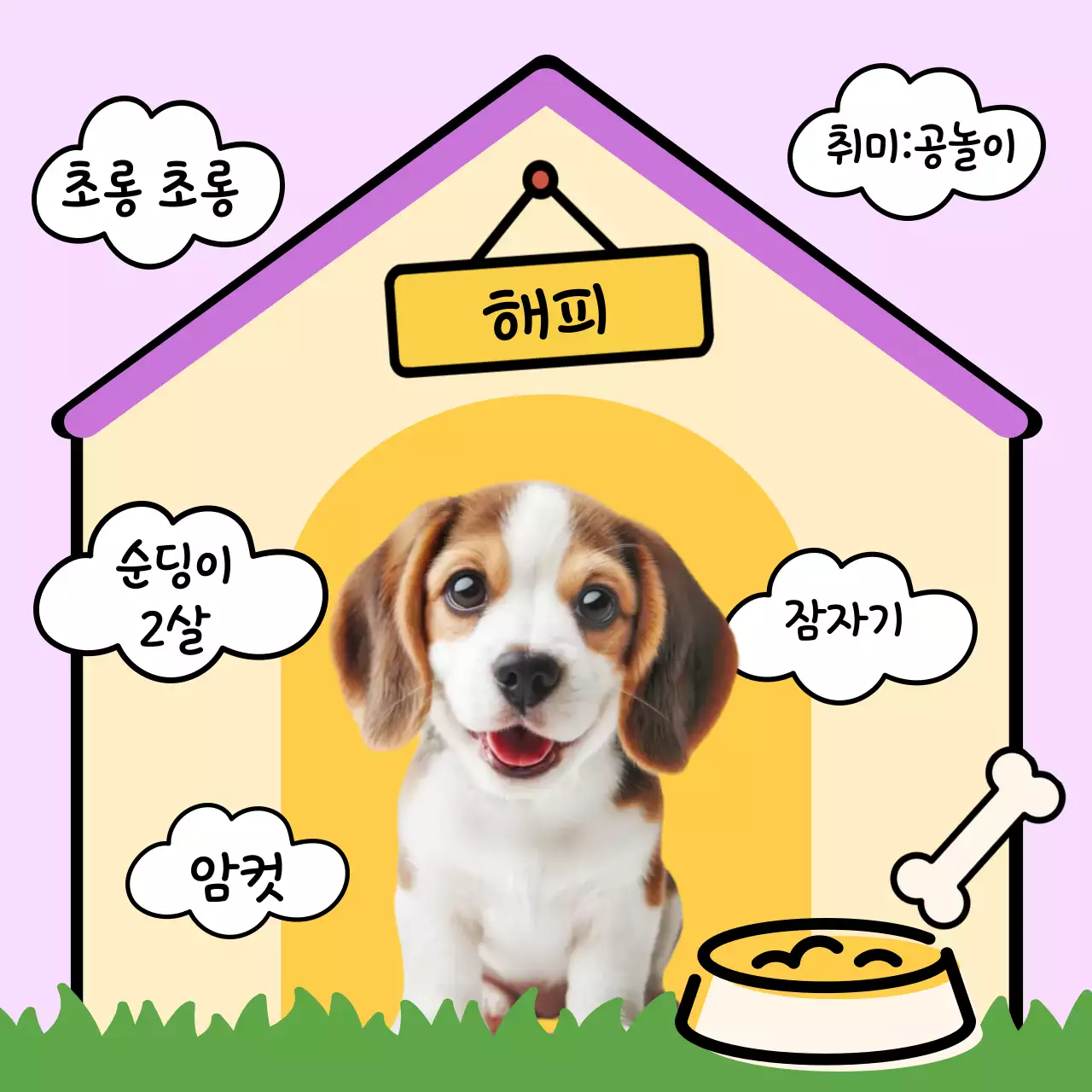 강아지 포토카드