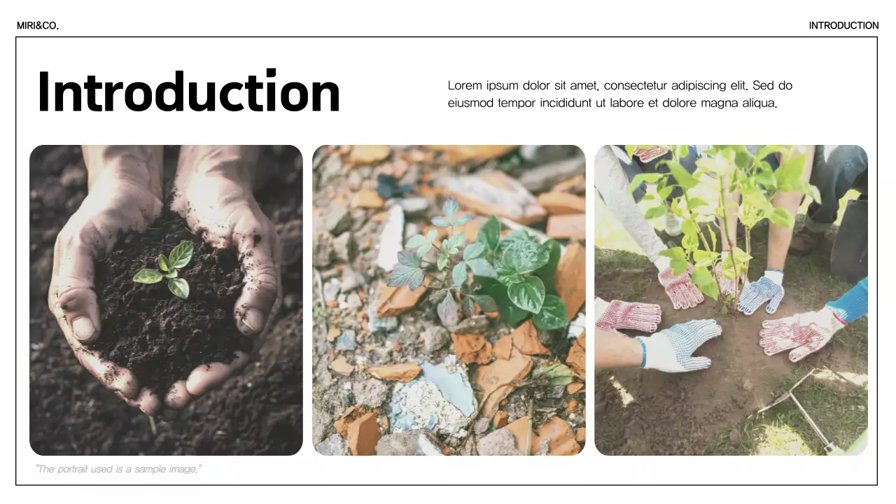 Green Minimal Sustainability Lecture Presentation