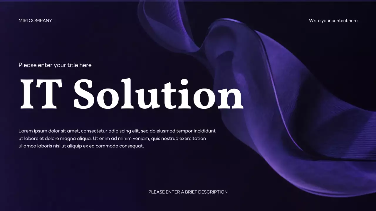 Navy Professional IT Solution Corporate Presentation