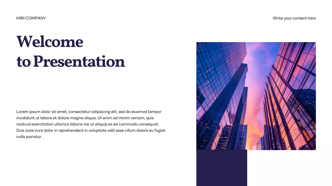 Navy Professional IT Solution Corporate Presentation