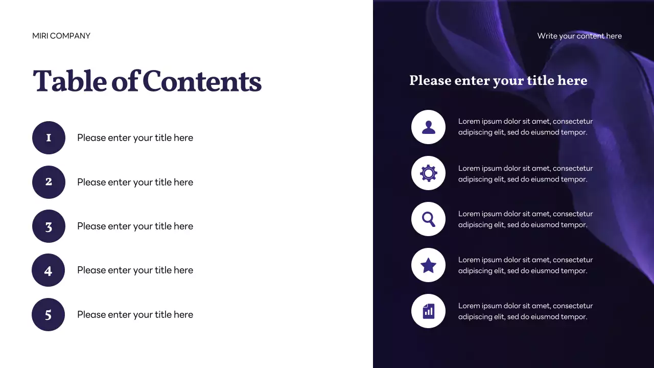 Navy Professional IT Solution Corporate Presentation