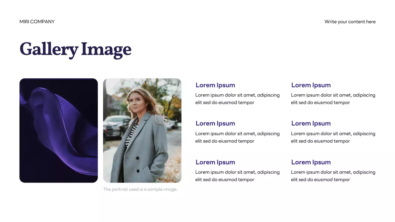 Navy Professional IT Solution Corporate Presentation