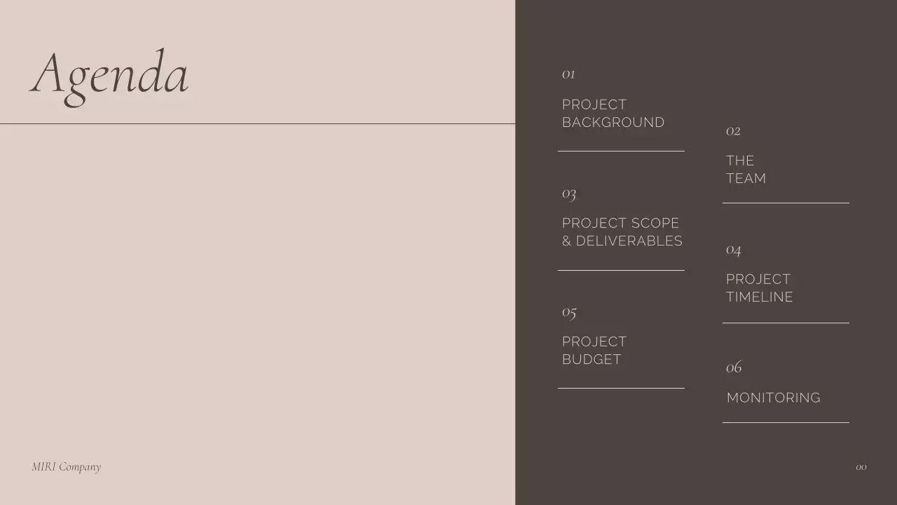 Brown Professional Project Kick-Off Guide Presentation