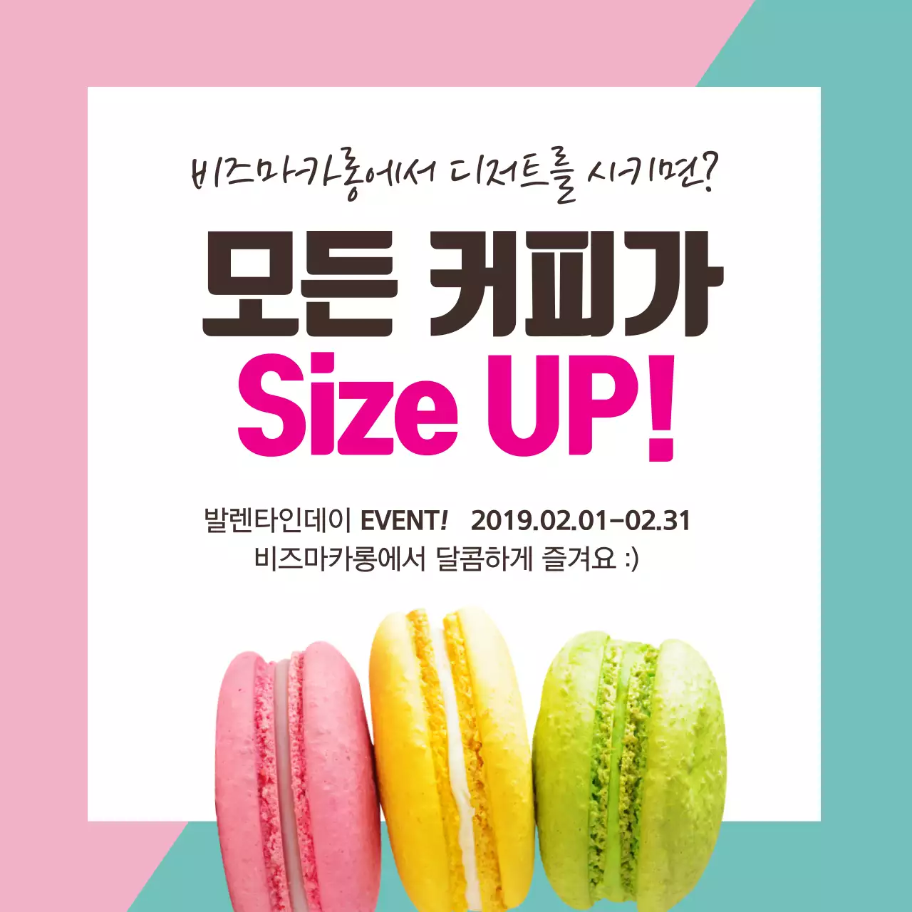 190201_마카롱_정사각