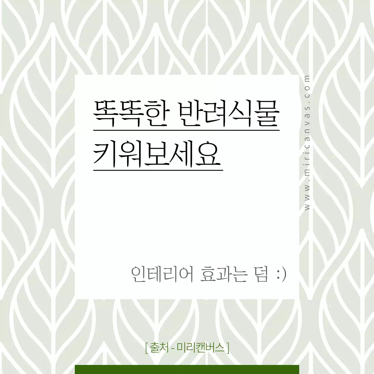미세먼지 잡는 반려식물
