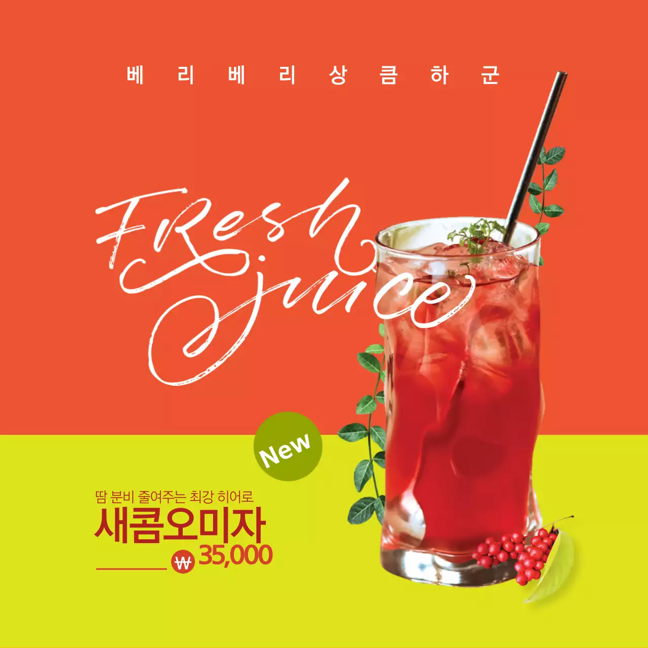 새콤달콤 오미자