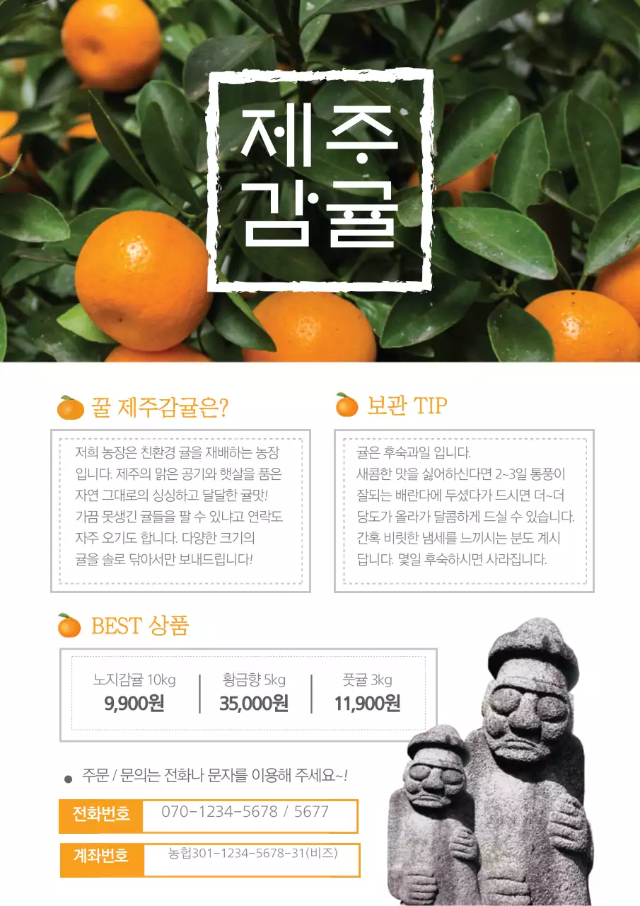 딸기 농장 상품 홍보 전단지