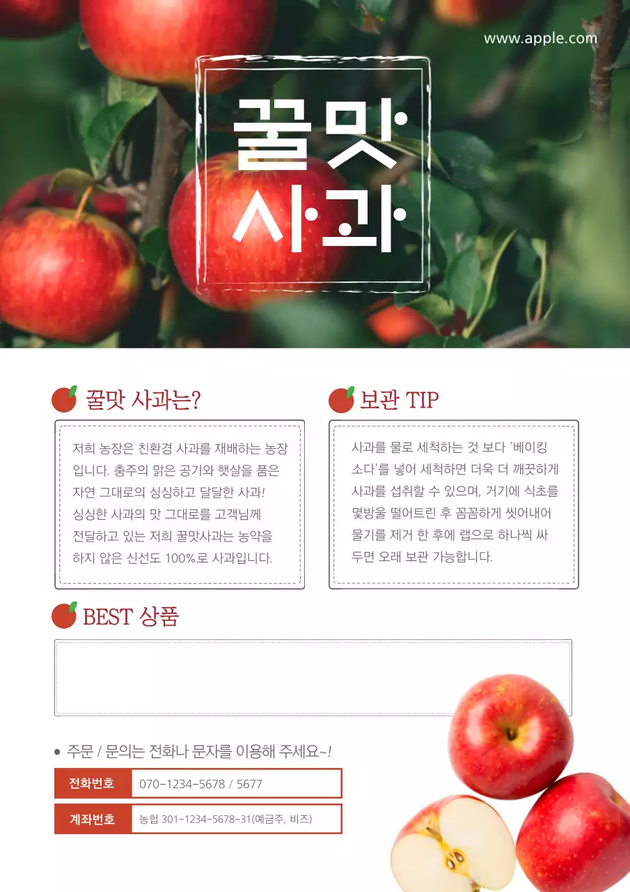 빨간색의 사과 사진이 있는 깔끔한 사과 홍보
