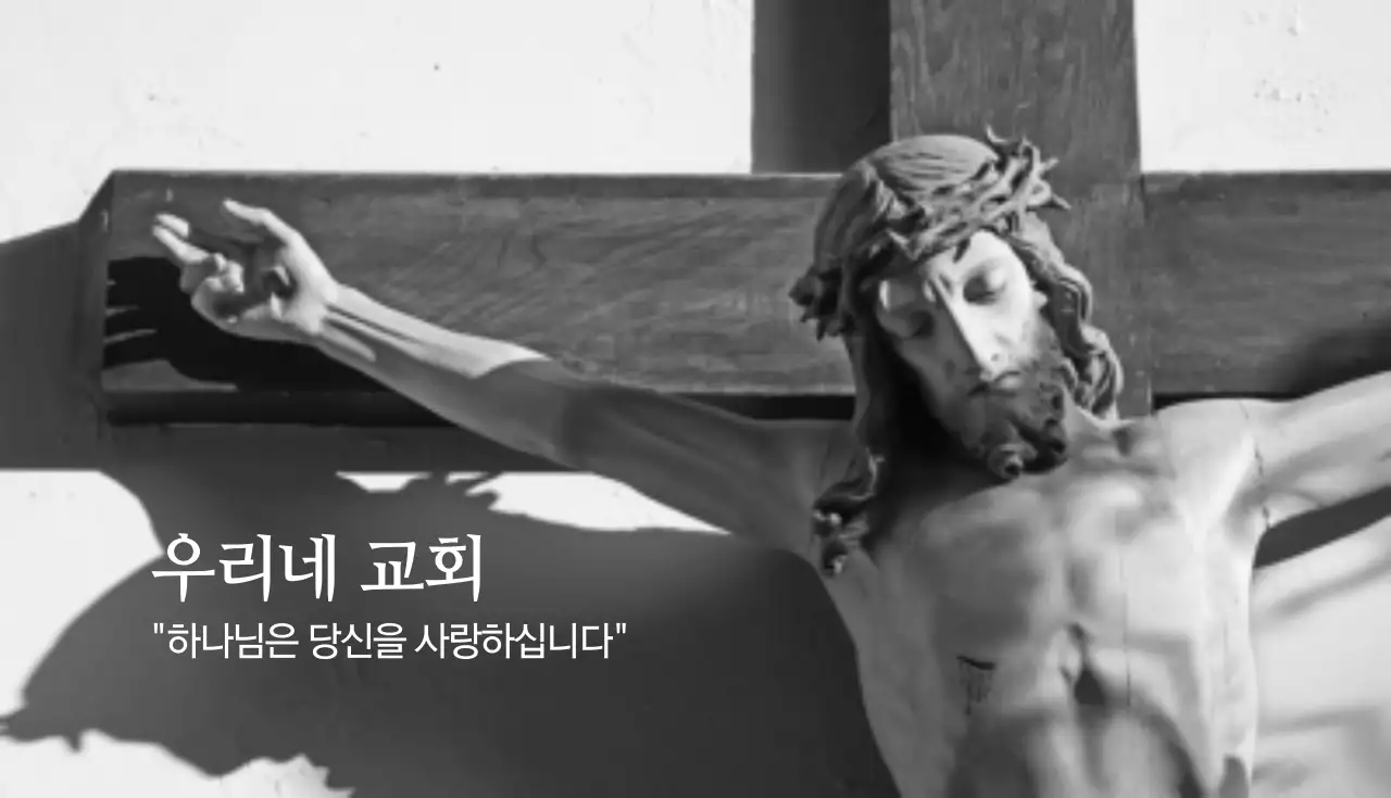 인물사진 비즈니스 회사 명함