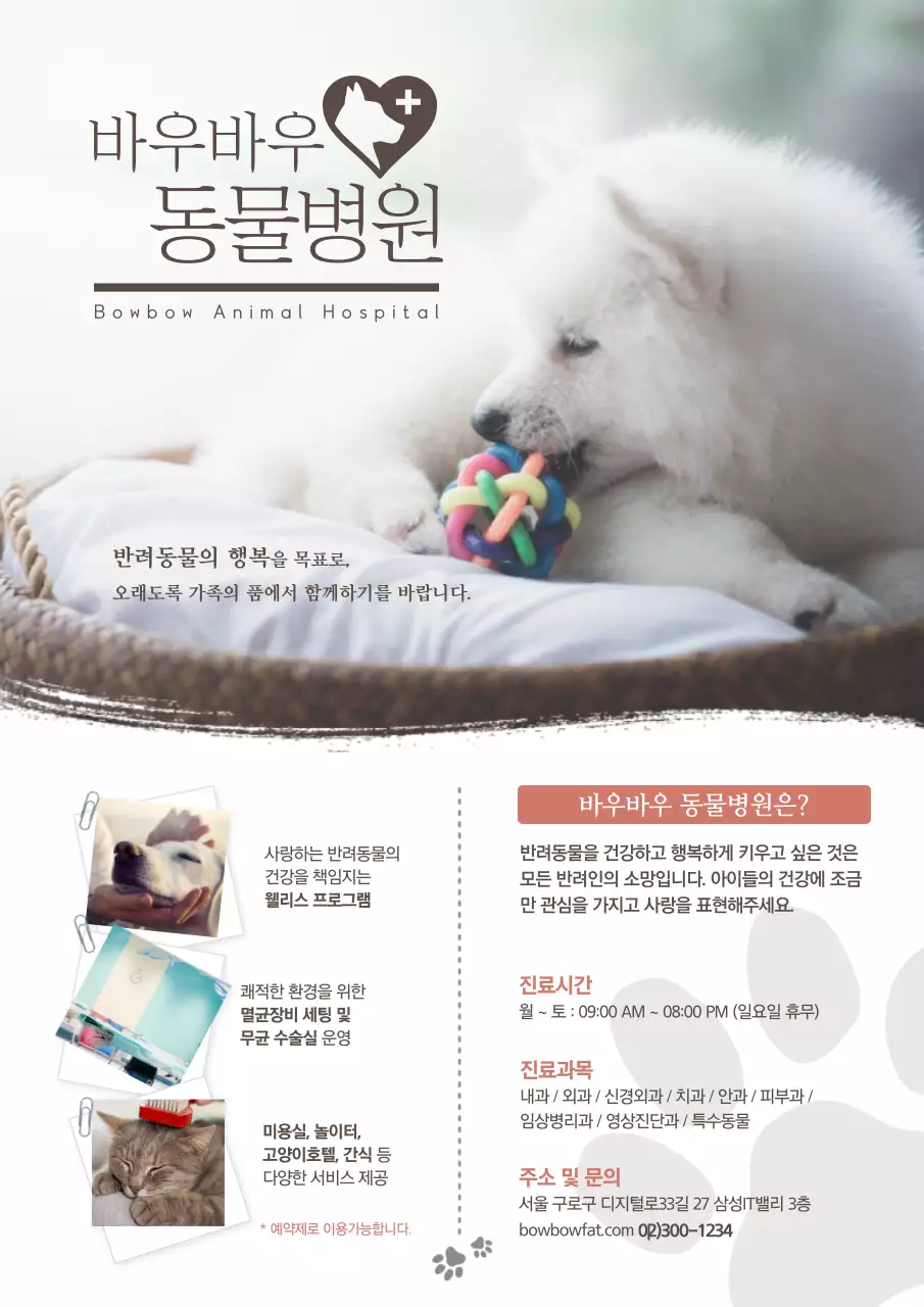 강아지 사진이 있는 동물병원 홍보