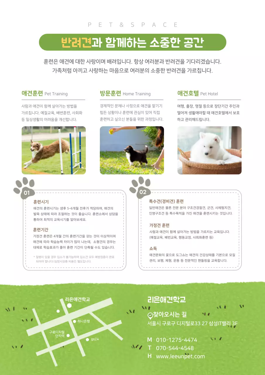 녹색의 깔끔하고 귀여운 컨셉의 강아지 학교 홍보