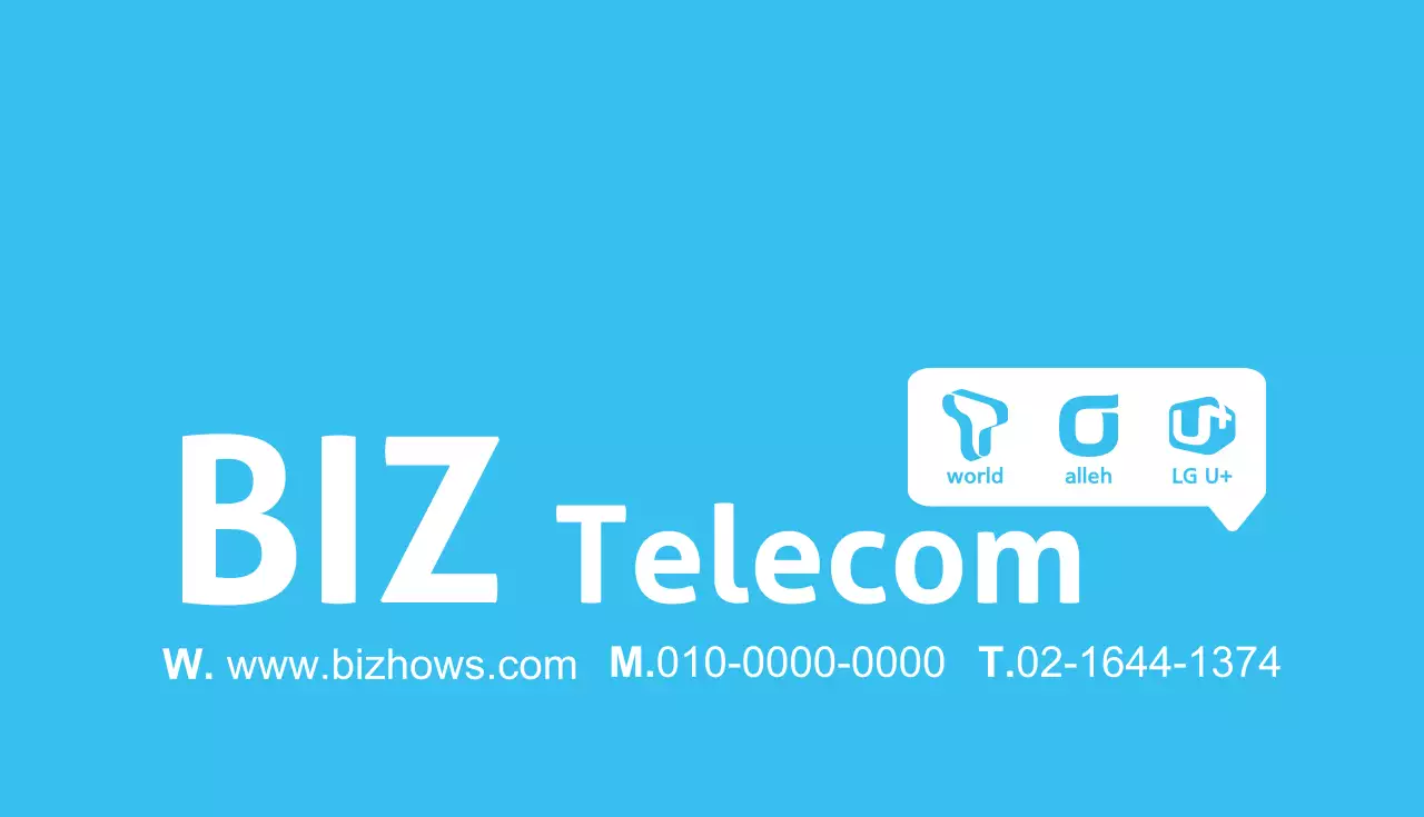비즈텔레콤