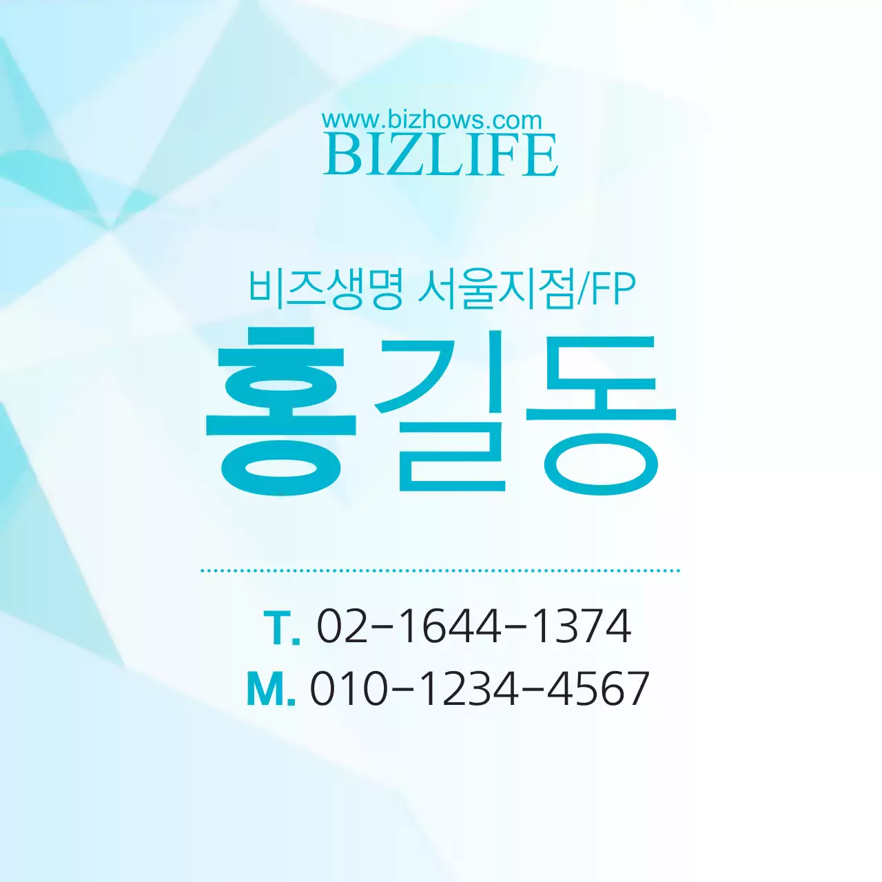 BIZLIFE 블루