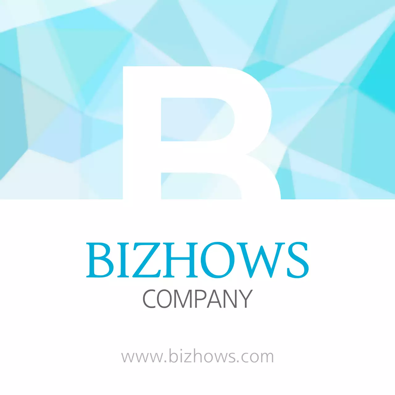 BIZHOWS