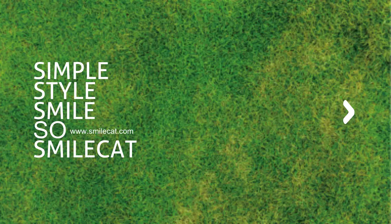 스마일캣