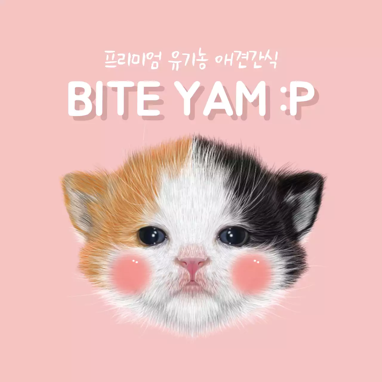 프리미엄 유기농 애견간식