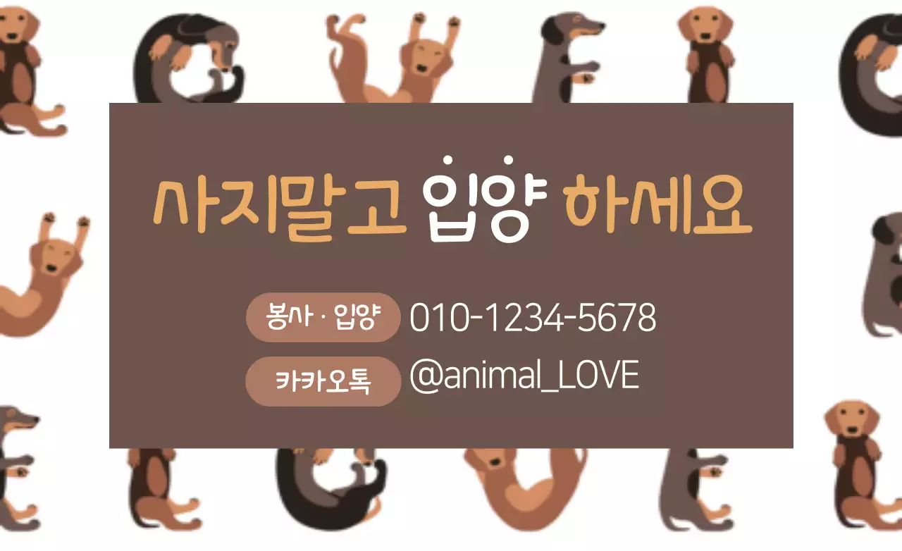 사지말고 입양하세요