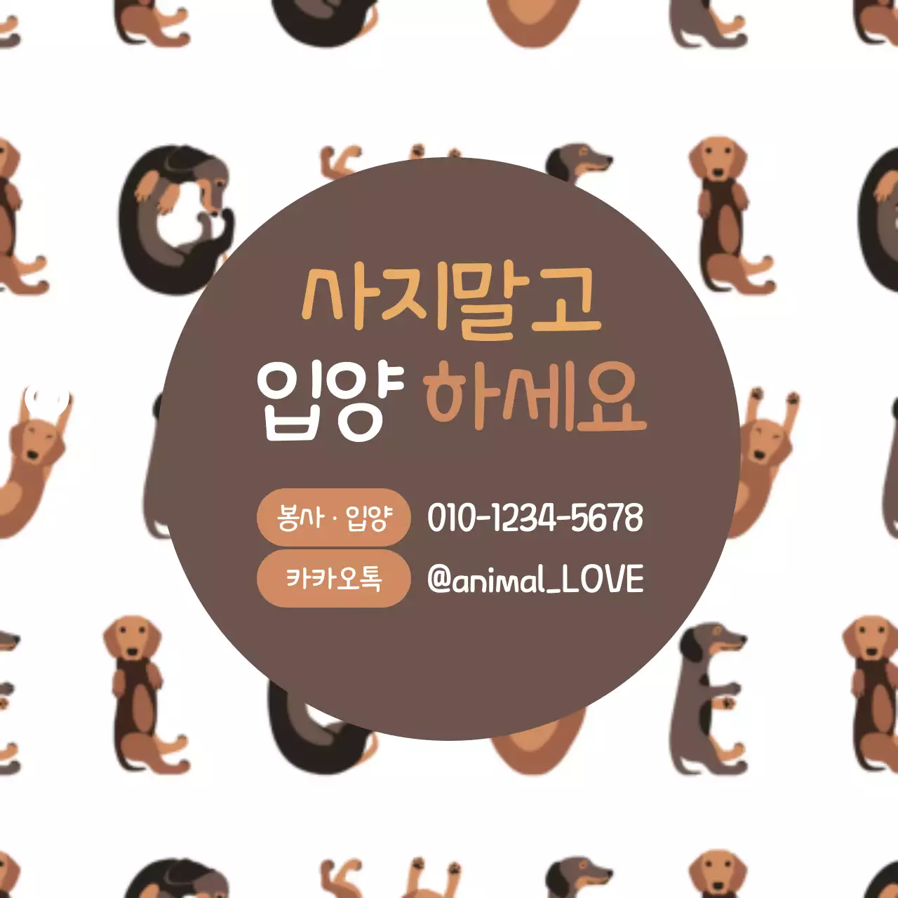 사지말고 입양하세요