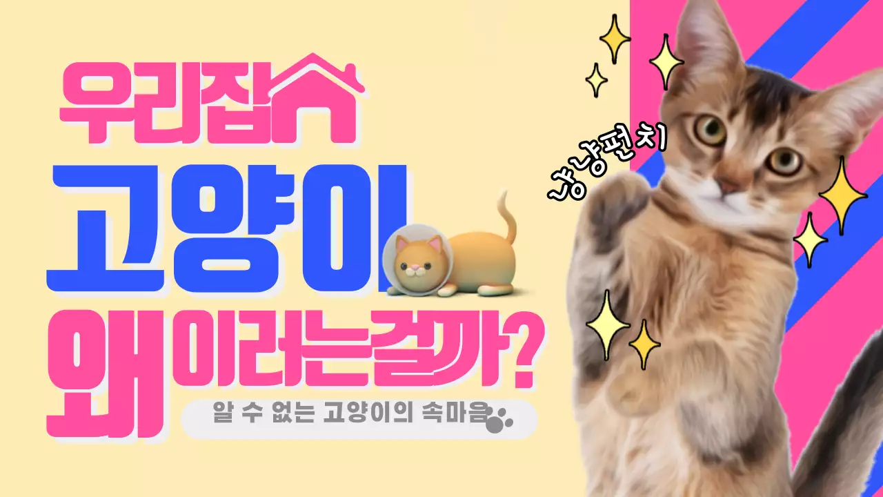 고양이 유튜브