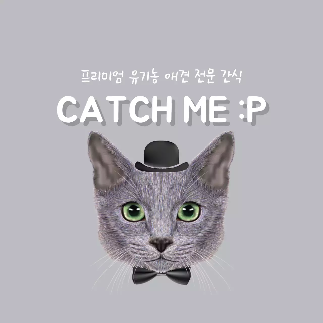 프리미엄 유기농 애견간식