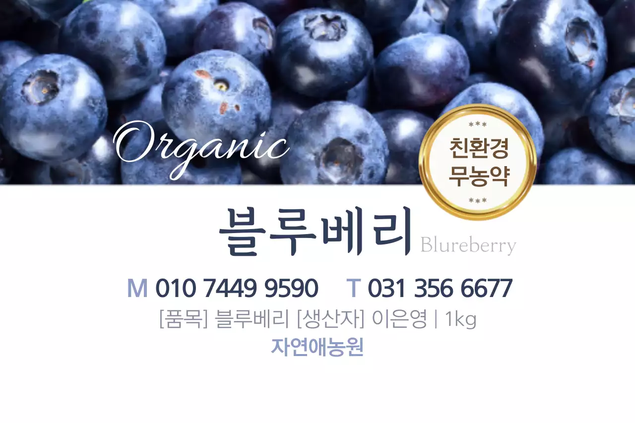 블루베리 