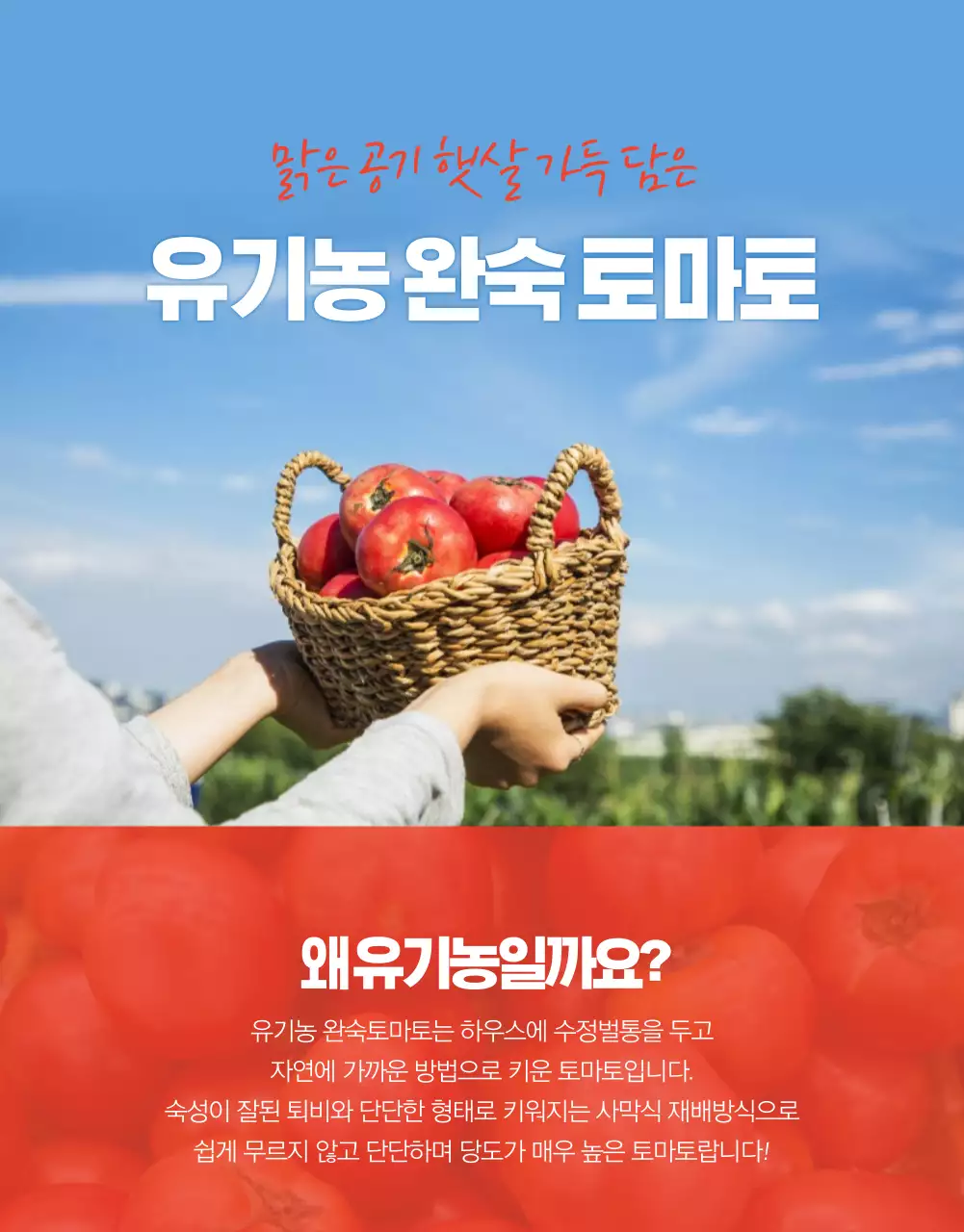 농수산물