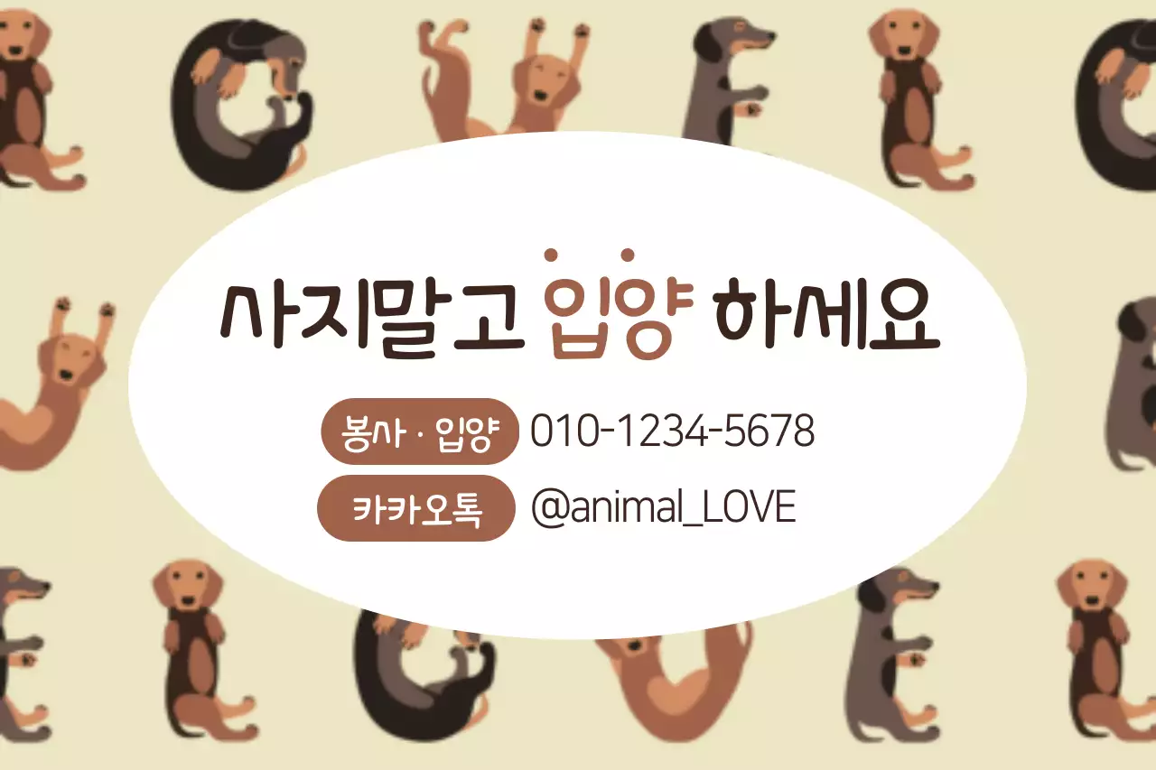 사지말고 입양하세요