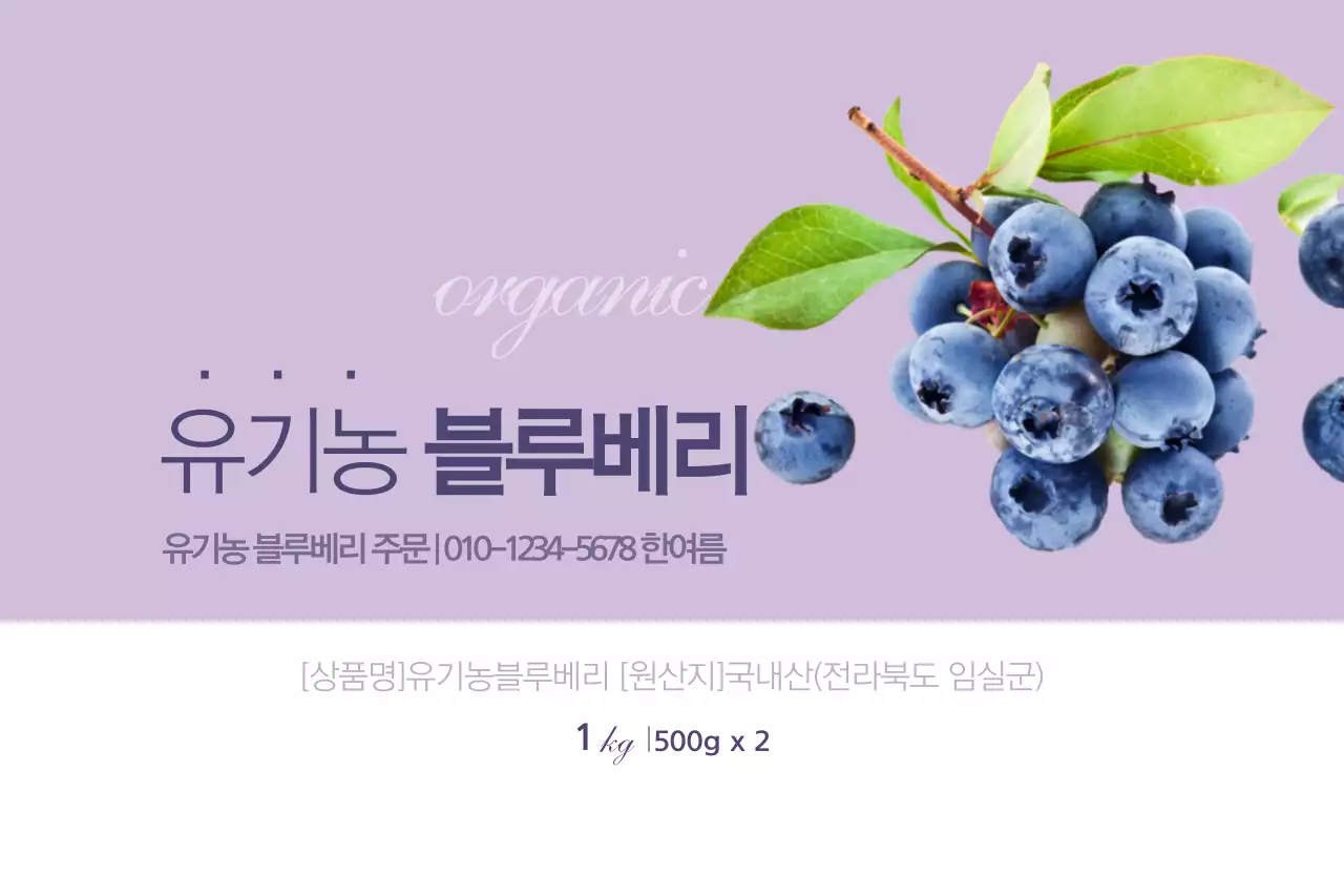 유기농 블루베리