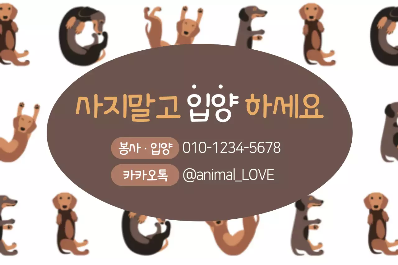 사지말고 입양하세요