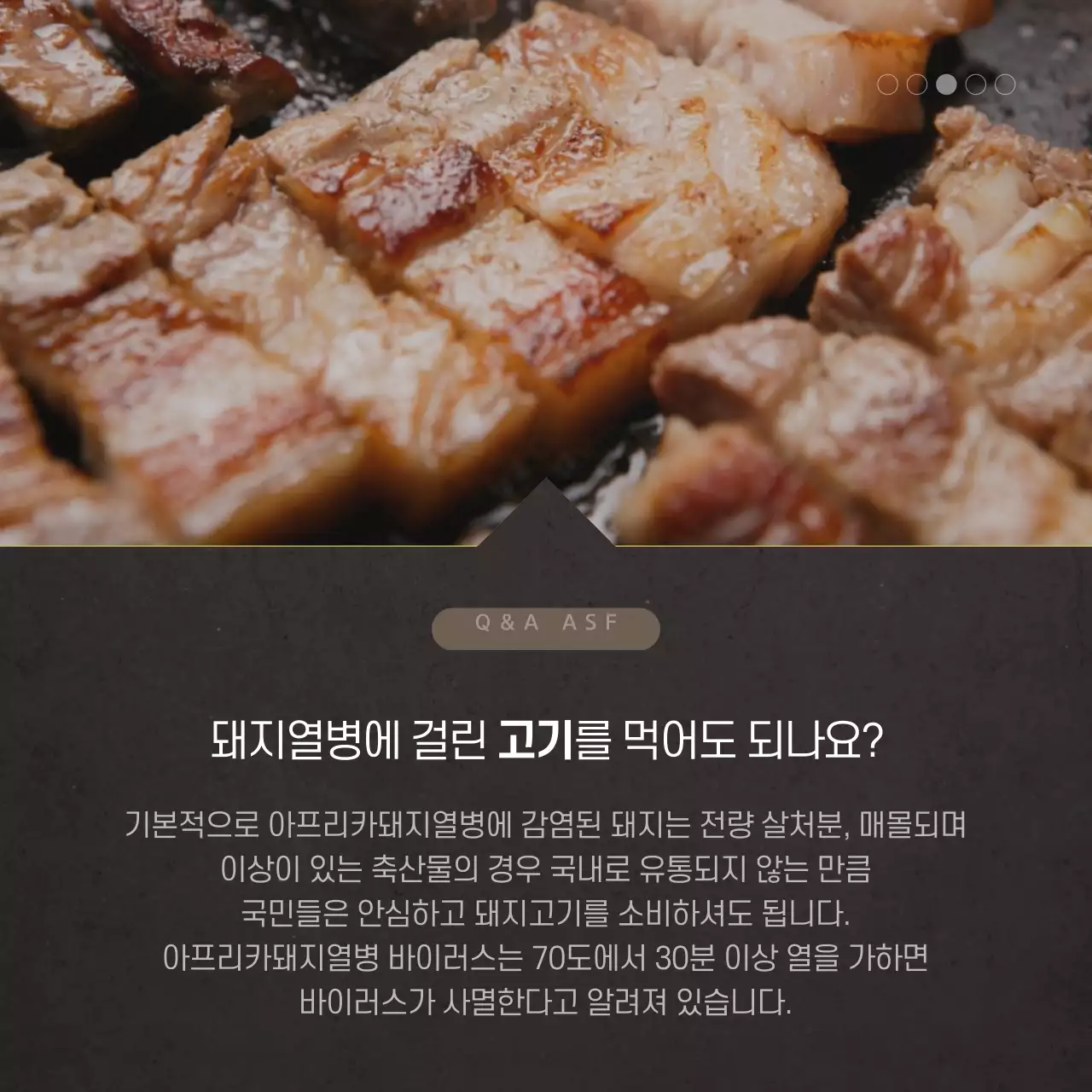 돼지열병 카드뉴스