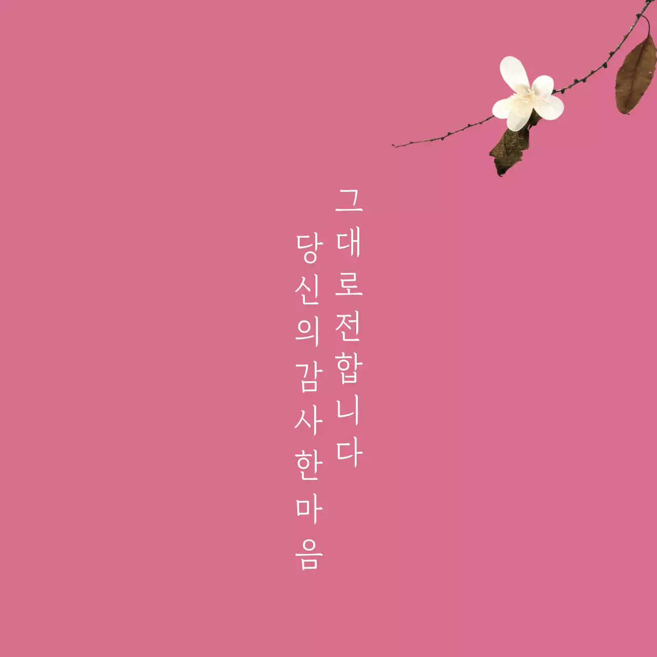 혜 담 떡 집 행택