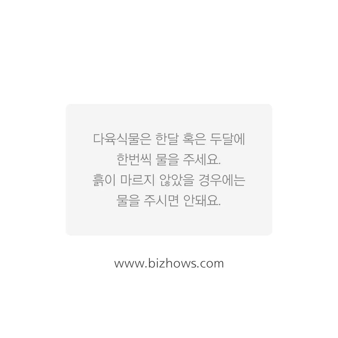 수입 다육이 & 선인장 전문점 행택