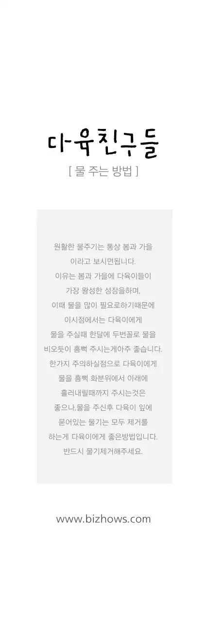 다육친구들 행택