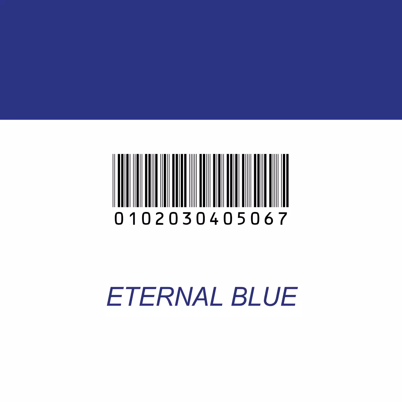 ETERNAL BLUE CLOTHING SHOP 행택