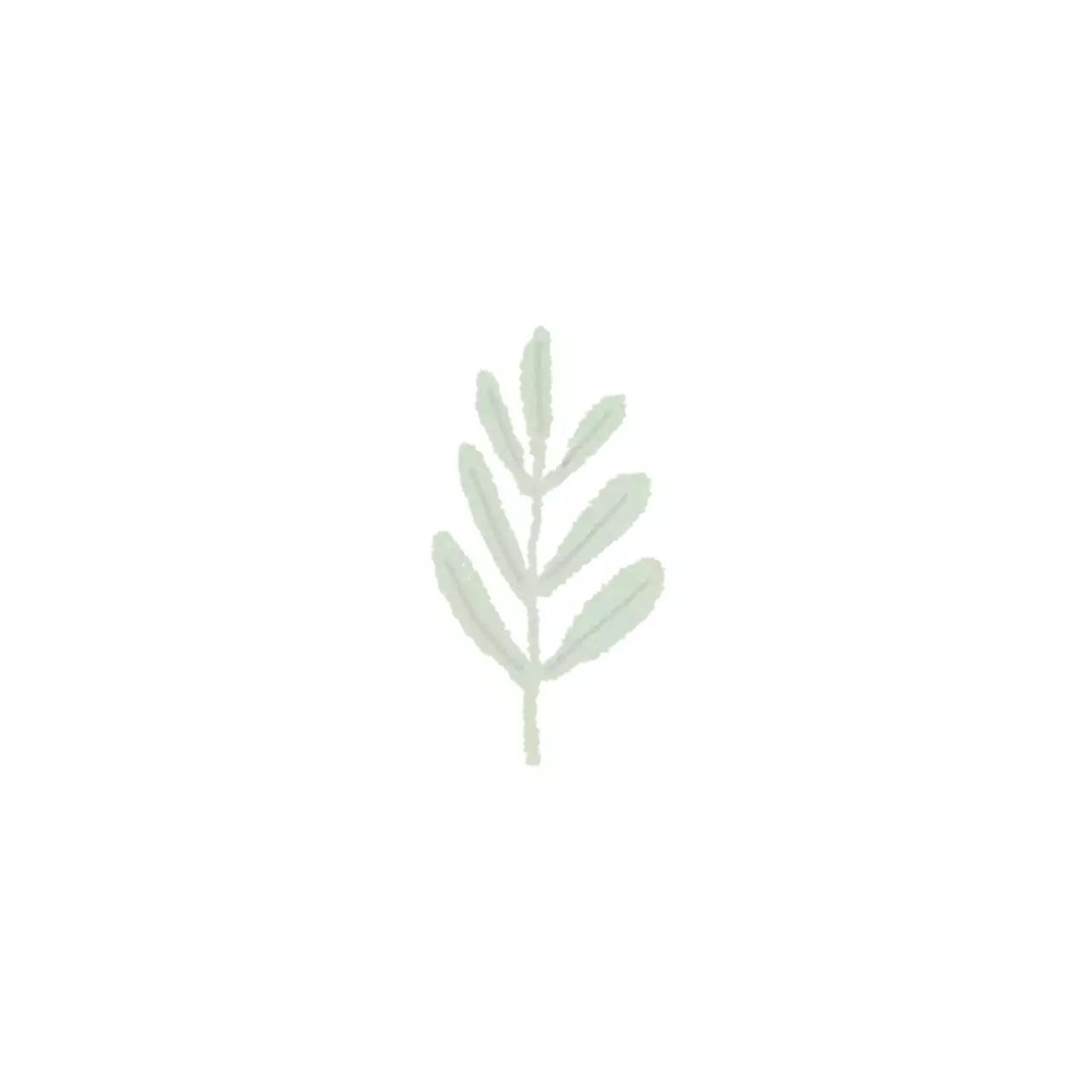 수입 다육이 & 선인장 전문점 행택