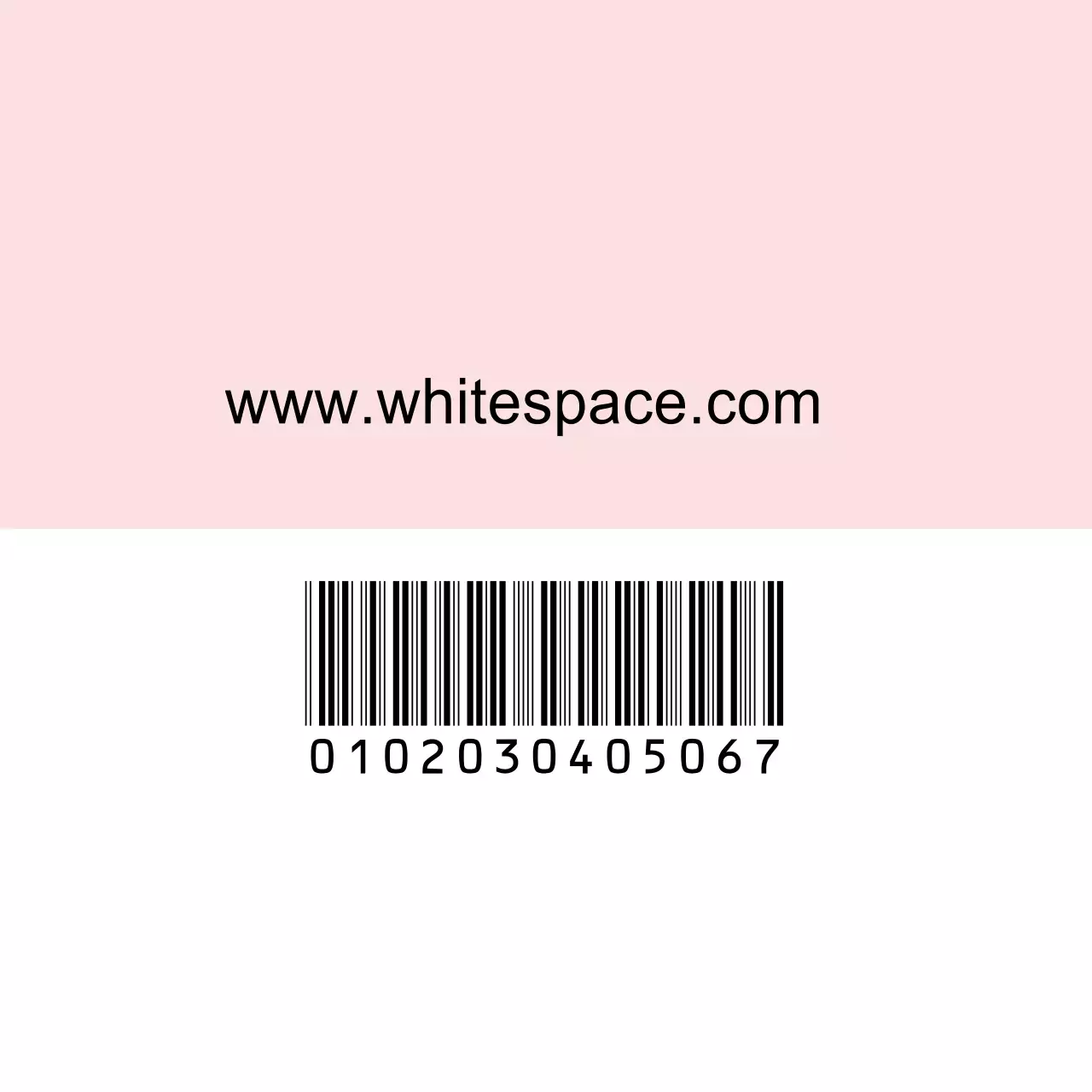 SECRET BEAUTY IN WHITE SPACE CLOSET 행택